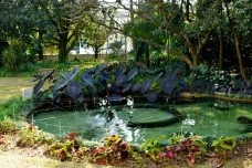Em formato sinuoso e com um deslumbrante lago com carpas, o jardim de Ema Klabin foi projetado por um dos mais importantes arquitetos paisagistas do século 20<br />Imagem divulgação 