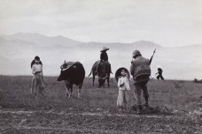 Vietnam. Philip Jones Griffiths, 1967, Gelatin silver print, 2010.3.2, The J. Paul Getty Museum<br />© The Philip Jones Griffiths Foundation / Magnum Photos 