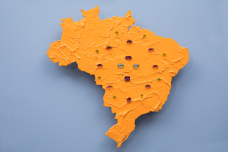 <br />Foto Henrique Luz 