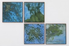 Marina com cianobactérias, 2017, Afresco, 120 x 180 cm / 60 x 60 cm