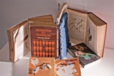 Laura Francozo<br />Foto divulgação 