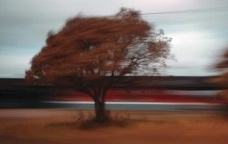 Alberto Bittar, sem título, 2009, da série Efêmera paisagem, 40 x 60 cm<br />Foto divulgação 