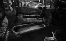 Extraindo o polvilho da mandioca, perto de Janurária, MG.1962-1966<br />Foto: Maureen Bisilliat 