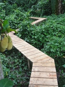 Exposição de João Modé no EAV Parque da Laje, RJ. "Para o silêncio das plantas" [divulgação]