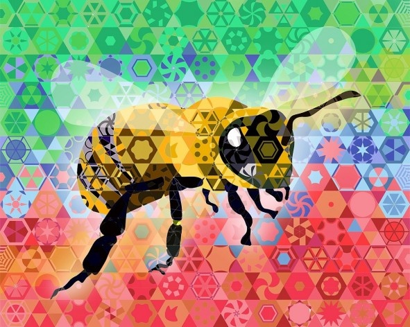 Colorful Bee