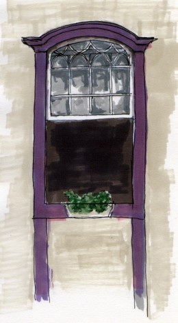 Window lilac