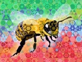 Colorful Bee