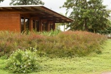 Sede Administrativa da Fazenda MFD, Taquarivaí SP, 2012, arquitetura em taipa de Rafael Oliveira e Fernando Minto, estrutura em eucalipto de Ita/Helio Olga<br />Foto divulgação 