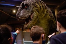 Museu da PUC RS<br />Foto Jonathan Heckler 
