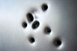 Clara Ianni, “Natureza Morta ou estudo para Ponto-de-fuga” (detalhe), metal com furos de balas: 35mm, 38 super, 40mm, 22mm, festim 4.5, calibre 12.42, 12SG, calibre 12.50AE, 2011<br />Foto divulgação  [Blog da artista]