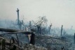 Desmatamento por queimada.  [World Rainforest Movement]