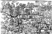 Figure des Brifilians, festa brasileira dada em Rouen em honra do rei Henrique II, 1550, com participação de 50 índios brasileiros
<br />Imagem divulgação  [Biblioteca Municipal de Rouen]