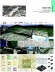 Estrutura, forma e paisagem: projeto para concurso para cidade multifuncional na Coréia da equipe de C. Dias, da qual o autor fez parte
