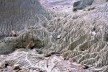 Escombros de madeira petrificada em diversas alturas. Bosque Petrificado, Sarmiento, Estado de Chubut, Argentina<br />Foto Diana Souza 
