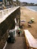 Locação de cadeiras na praia do Farol da Barra<br />Foto do autor 