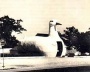 The Long Island Duckling, Long Island, EUA. Fonte: VENTURI, Robert; BROWN, Denise Scott. Aprendiendo de Las Vegas. Barcelona: Gustavo Gilli, 1972