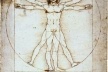 Homem vitruviano, segundo Leonardo da Vinci