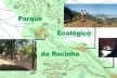 Parque Ecológico da Rocinha – perspectivas de decks mirantes e ponte pênsil<br />Imagem do autor do projeto 