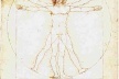 Cânone de proporções de Vitruvius, Leonardo da Vinci