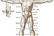Cânone de proporções de Vitruvius, Andrea Palladio, 1567
