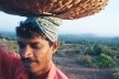 Trabalhador rural, Gokarna, Índia<br />Foto Fabricio Fernandes 