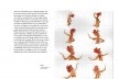 Página do livro <i>Trajetória do cinema de animação no Brasil</i>, de Ana Flávia Marcheti<br />Imagem divulgação 