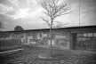 Casa Olivo Gomes, S J dos Campos 1950. Rino Levi, arquitetura / Burle Marx, paisagismo e murais [Acervo Digital Rino Levi FAU PUC-Campinas]