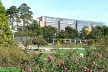 Cité Internationale vista a partir dos roseirais do Parc de la Tête D’Or<br />Foto: Jovanka Baracuhy C. Scocuglia 