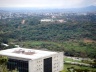 Mata do Campus da Universidade Federal de Minas Gerais, Belo Horizonte. Bem tombado em nível municipal<br />Foto Andrea Zerbetto 