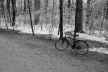 Bicicleta estacionada no parque urbano Englischer Garten. Munique, Alemanha, dezembro 2009<br />Foto Francisco Alves 