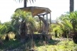 Foto 2: Coreto cercado por um fosso e tomado por palmeiras nativas em 2003