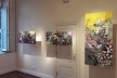 Exposição “Harpias XXI”, instalações de Fanny Feigenson, quadros de Maria Augusta Justi Pisani<br />Foto divulgação 