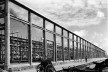 Construção de armazém no Porto do Recife, Pernambuco, 1937<br />Foto Benício Whatley Dias  [Acervo Fundação Joaquim Nabuco – Ministério da Educação]