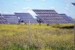Placas de energia solar em Tordesilhas <br />Foto Breno Raigorodsky 