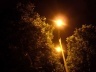 Fig.6: Problema recorrente em grande parte das cidades brasileiras, a falta de compatibilização entre a iluminação com a arborização urbana diminui a segurança no trânsito de veículos e de pedestres [http://arvorestavares.blogspot.com]