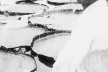 Mário de Andrade, "Na lagoa de Amanium / Perto do Igarapé de Barcarena / Manaus / Minha obra prima", fotografia, 7 junho 1927 [Acervo Arquivo Mário de Andrade, IEB USP]