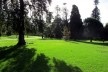 Royal Botanic Garden, Sidney<br />Foto Gabriela Celani 