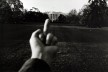 9+1. Ways of being political, “Study of perspective white house”, Weiwei, MoMA<br />Foto Fredy Massad 