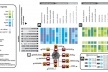 Figura 12 - Complexo da lagoinha: Diagrama de Acessibilidade para pedestres e transportes públicos (ônibus, metrô, táxi) segundo dados da BHTrans e dados levantados pela equipe de estagiários