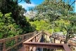 Parque Municipal Nair Bello, imagem da passarela com destaque para maciço arbóreo, São Paulo SP Brasil, 2020. Secretaria Municipal do Verde e do Meio Ambiente<br />Foto divulgação  [Acervo SVMA/DIPO]