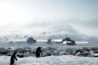 Estação Antártica Comandante Ferraz [divulgação]