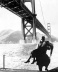São Francisco como locação para a dramática cena de Um corpo que cai (Vertigo, Alfred Hitchcock, EUA, 1958)