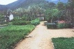 Jardim, Fazenda Vargem Grande, Areias SP, 1979<br />Foto Ana Rosa 2000 