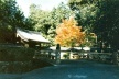Koke-dera, o Templo dos Musgos: acesso ao conjunto<br />Foto Maria do Carmo Maciel Di Primio 