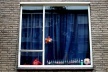 figura 3 - Dutch Windows
<br />Foto Fernanda Curi 