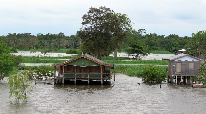 Margem do Rio Amazonas<br />Foto Eduardo Oliveira Soares, julho 2019 