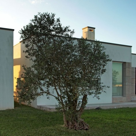 Casa na Cruz de Oliveira, 2ª fase, Benedita, Portugal. Arquiteto Pedro Fonseca Jorge<br />Foto Marcos Paixão 
