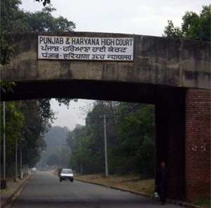 Ponte próxima ao capitólio em Chandigarh<br />Foto de Denise Teixeira e Luís Barbieri 