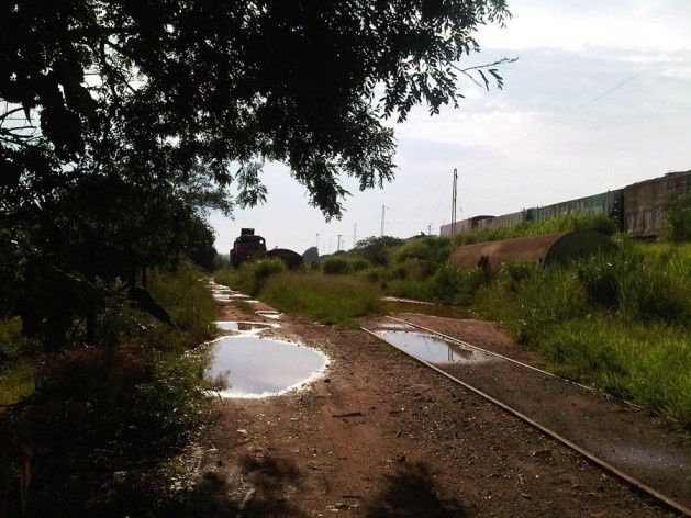 Trens abandonados em ramal industrial desativado, Altos da Vila, Araraquara<br />Foto Abilio Guerra 