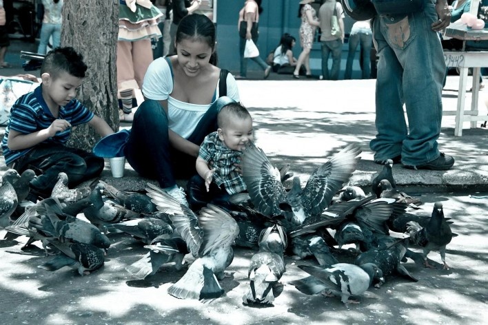 Família e pombos em frente ao Teatro Nacional, San José, Costa Rica<br />Foto Junia Mortimer 